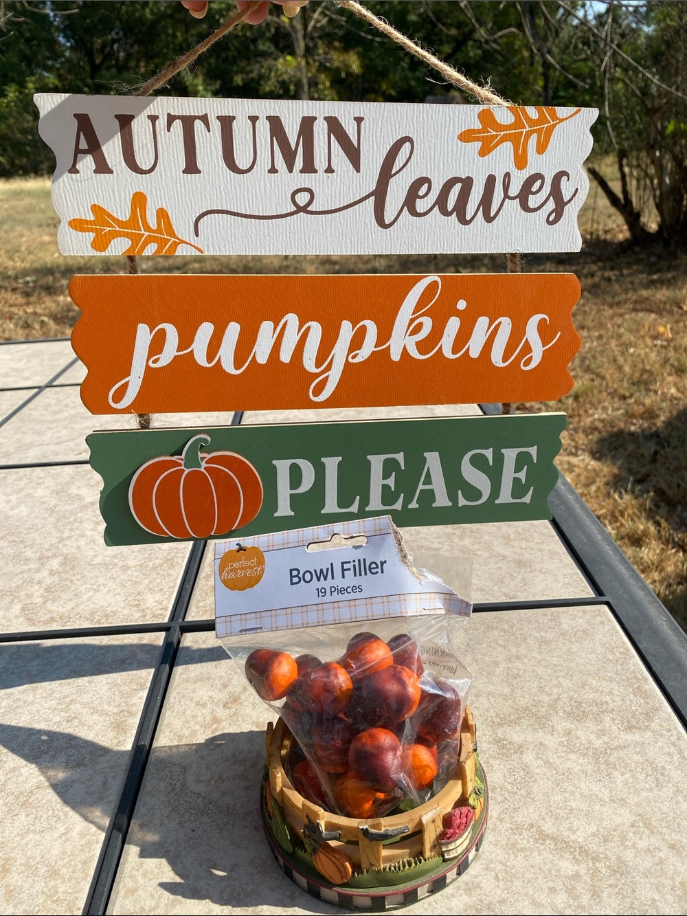 Perfect Harvest Fall Decor Set Bowl Filler Pumpkin Fence Ring and Hanging Sign